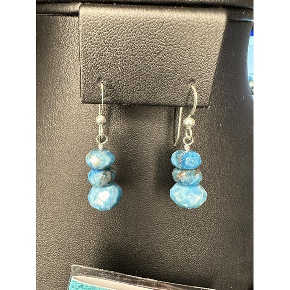 Jay King DTR Mine Finds Sterling Silver Blue Apatite Necklace & Earring Set - Picture 3 of 11